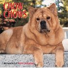 Cal 99 Chow Chows Calendar (9780763112738) by [???]