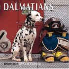 Cal 99 Dalmatians (9780763112844) by [???]