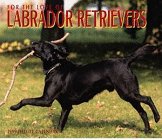 Cal 99 for the Love of Labrador Retrievers (9780763113186) by Unknown Author