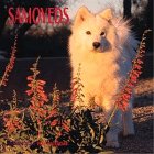 Cal 99 Samoyeds (9780763113452) by [???]