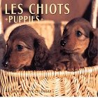 Cal 99 Les Chiots/Puppies (9780763114077) by Unknown Author