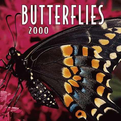 Butterflies 2000 Calendar (9780763118297) by Browntrout Publishers; Wall-12 Mini