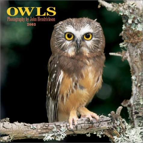 Owls 2003 Calendar (9780763149635) by John Hendrickson