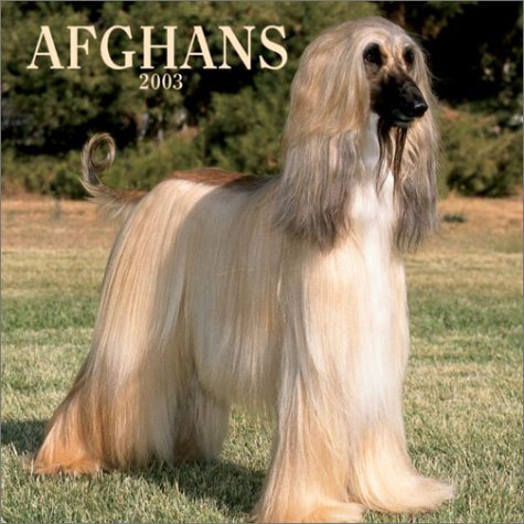 Stock image for Afghans 2003 Calendar for sale by Wonder Book