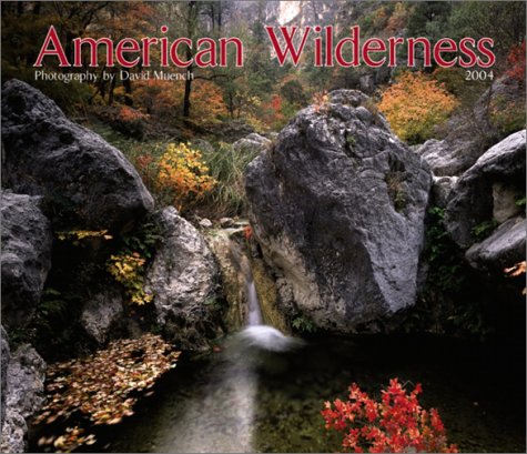 American Wilderness 2004 Deluxe Wall Calendar (9780763159740) by [???]