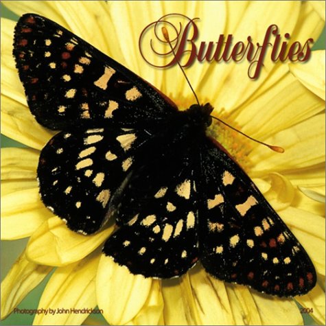 Butterflies 2004 Calendar (9780763161057) by [???]