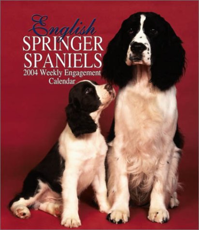 9780763167769: English Springer Spaniels 2004 Calendar