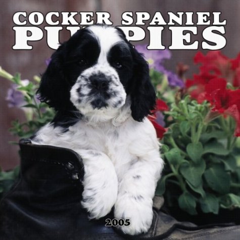 Cocker Spaniel Puppies 2005 Mini Wall Calendar (9780763175351) by NOT A BOOK