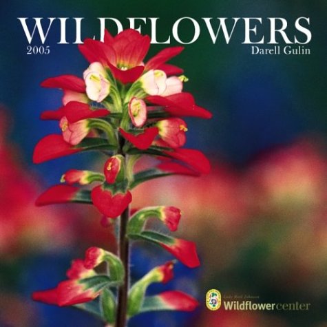 Wildflowers 2005 Wall Calendar (9780763182120) by NOT A BOOK