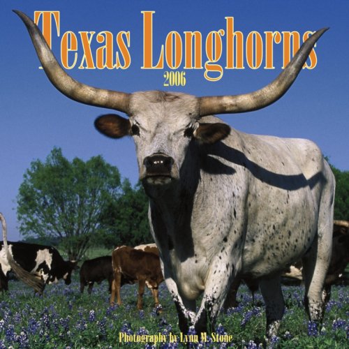 9780763195236: Texas Longhorns 2006 Calendar