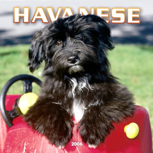 9780763196547: Havanese 2006 Wall Calendar