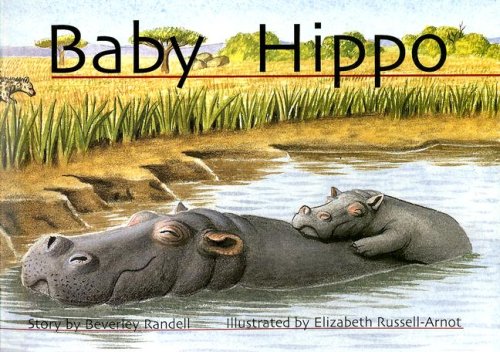 Stock image for Baby Hippo for sale by ThriftBooks-Phoenix