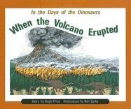 Imagen de archivo de When the Volcano Erupted a la venta por Better World Books