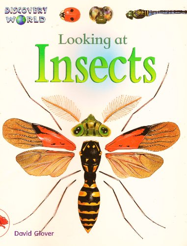Beispielbild fr Looking at Insects (Discovery World) zum Verkauf von Wonder Book