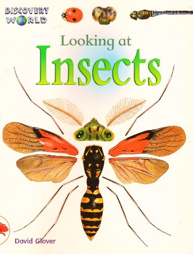 Looking at Insects (Discovery World) (9780763523541) by Glover, David