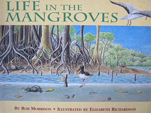 Stock image for Rhcc 2a Life in Mangroves Is (Home Connection Collection) for sale by medimops