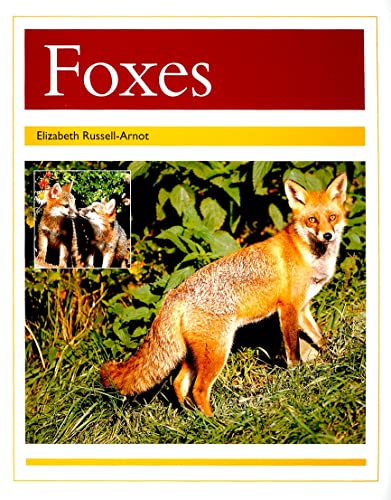 Stock image for Foxes for sale by Better World Books