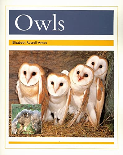 Stock image for Owls for sale by Better World Books: West