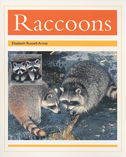 9780763557706: Racoons: Individual Student Edition Gold (Levels 21-22) (PM Animal  Facts: Nocturnal Animals) - Rigby: 0763557706 - AbeBooks