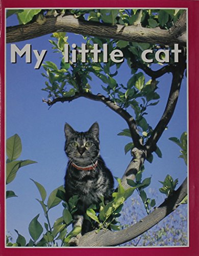 Imagen de archivo de My Little Cat a la venta por Jenson Books Inc