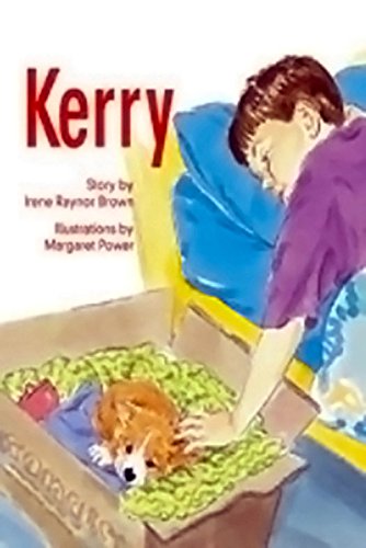 Stock image for Rigby PM Collection: Individual Student Edition Silver (Levels 23-24) Kerry for sale by Jenson Books Inc