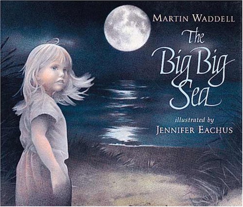 Imagen de archivo de The Big Big Sea a la venta por BooksRun