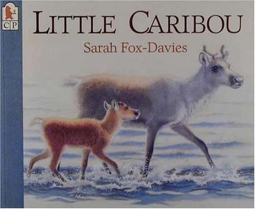 Stock image for Little Caribou Fox-Davies, Sarah for sale by Vintage Book Shoppe