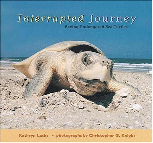 9780763606350: Interrupted Journey: Saving Endangered Sea Turtles