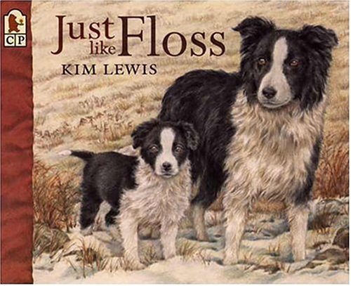 Stock image for Just Like Floss for sale by Books of the Smoky Mountains