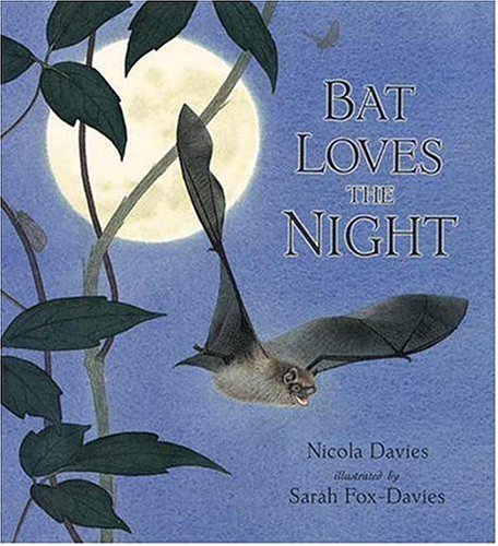 Beispielbild fr Bat Loves the Night (Read and Wonder) zum Verkauf von Orphans Treasure Box