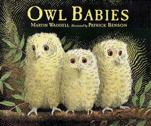 Beispielbild fr Owl Babies Big Book zum Verkauf von Blackwell's