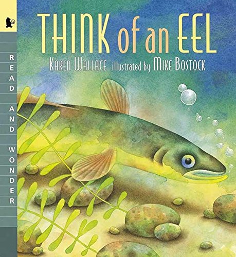 Beispielbild fr Think of an Eel: Read and Wonder zum Verkauf von Wonder Book