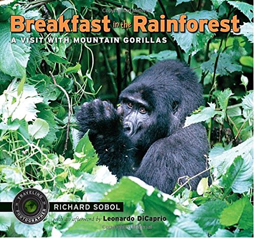 Stock image for Breakfast in the Rainforest : A Visit with Mountain Gorillas for sale by Better World Books: West