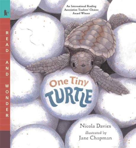 9780763623111: One Tiny Turtle: Read and Wonder