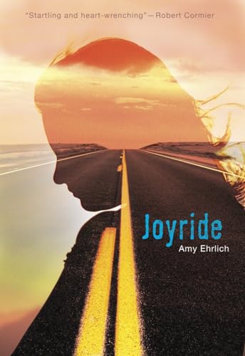 Beispielbild fr Joyride zum Verkauf von Wonder Book