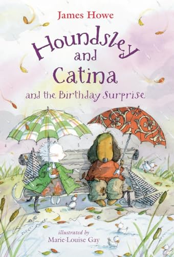 Imagen de archivo de Houndsley and Catina and the Birthday Surprise: Candlewick Sparks a la venta por SecondSale