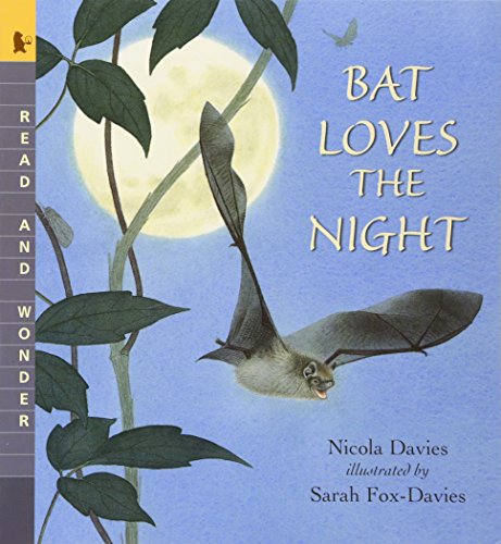Bat Loves the Night - Nicola Davies (author), Sarah Fox-Davies (illustrator)
