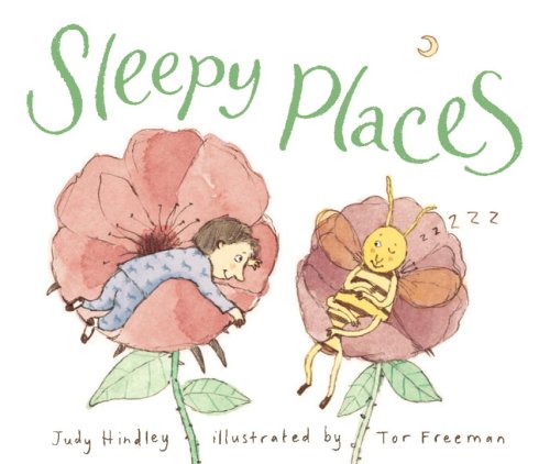 Beispielbild fr Sleepy Places zum Verkauf von Better World Books