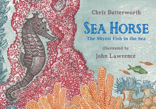 Imagen de archivo de Sea Horse : The Shyest Fish in the Sea a la venta por Better World Books