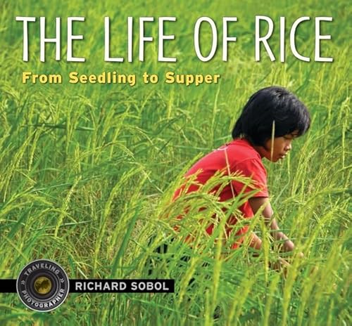 Stock image for The Life of Rice: From Seedling to Supper (Traveling Photographer) for sale by Read&Dream