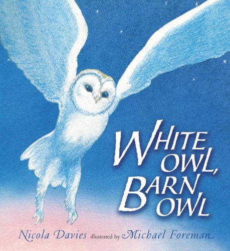 Beispielbild fr White Owl, Barn Owl zum Verkauf von SecondSale