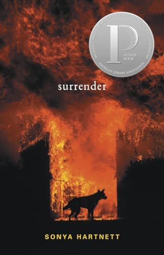 Stock image for Surrender for sale by Your Online Bookstore