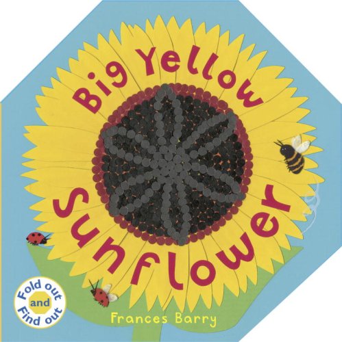 9780763637248: Big Yellow Sunflower (Fold Out and Find Out)