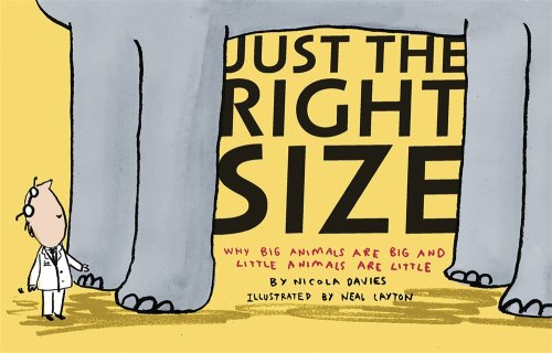 Beispielbild fr Just the Right Size: Why Big Animals Are Big and Little Animals Are Little (Animal Science) zum Verkauf von Wonder Book