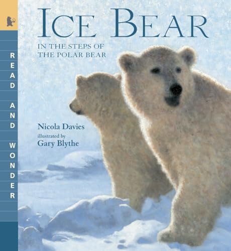 Ice Bear: In the Steps of the Polar Bear: Read and Wonder (9780763641498) by Davies, Nicola