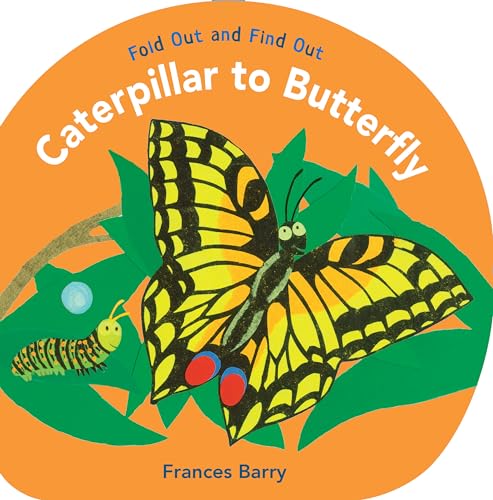 Stock image for Caterpillar to Butterfly: Fold Out and Find Out for sale by HPB-Ruby