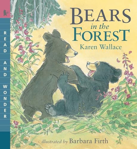 9780763645229: Bears in the Forest: Read & Wonder (Read and Wonder)