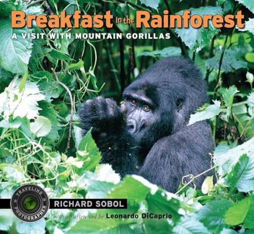 Stock image for Breakfast in the Rainforest: A Visit with Mountain Gorillas (Traveling Photographer) for sale by BooksRun