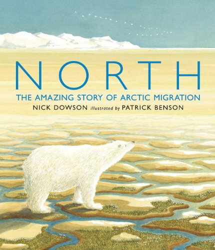 Stock image for North: The Amazing Story of Arctic Migration for sale by ZBK Books