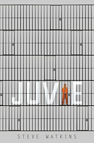 Stock image for Juvie for sale by More Than Words